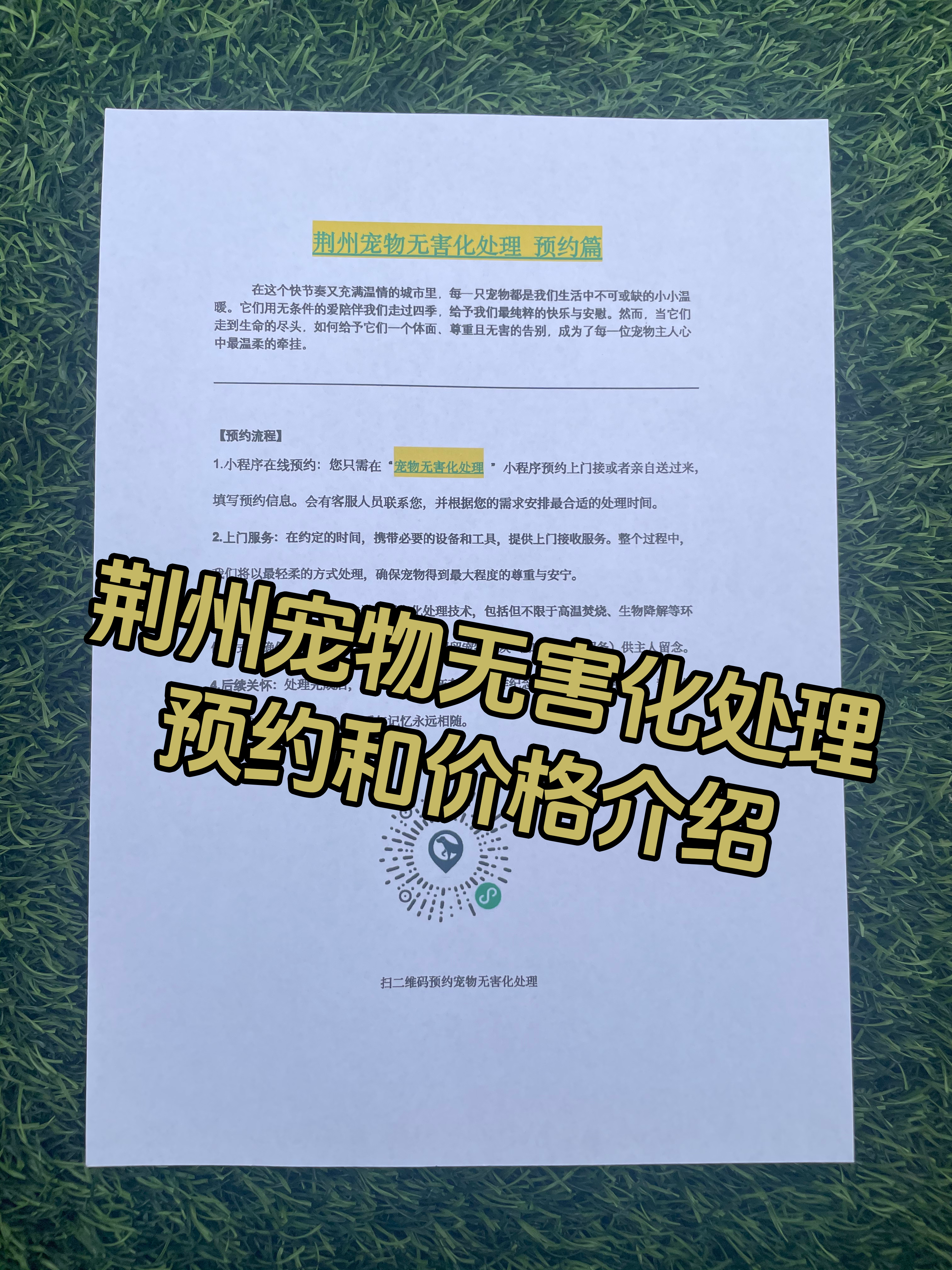 柳州宠物遗体规范处理