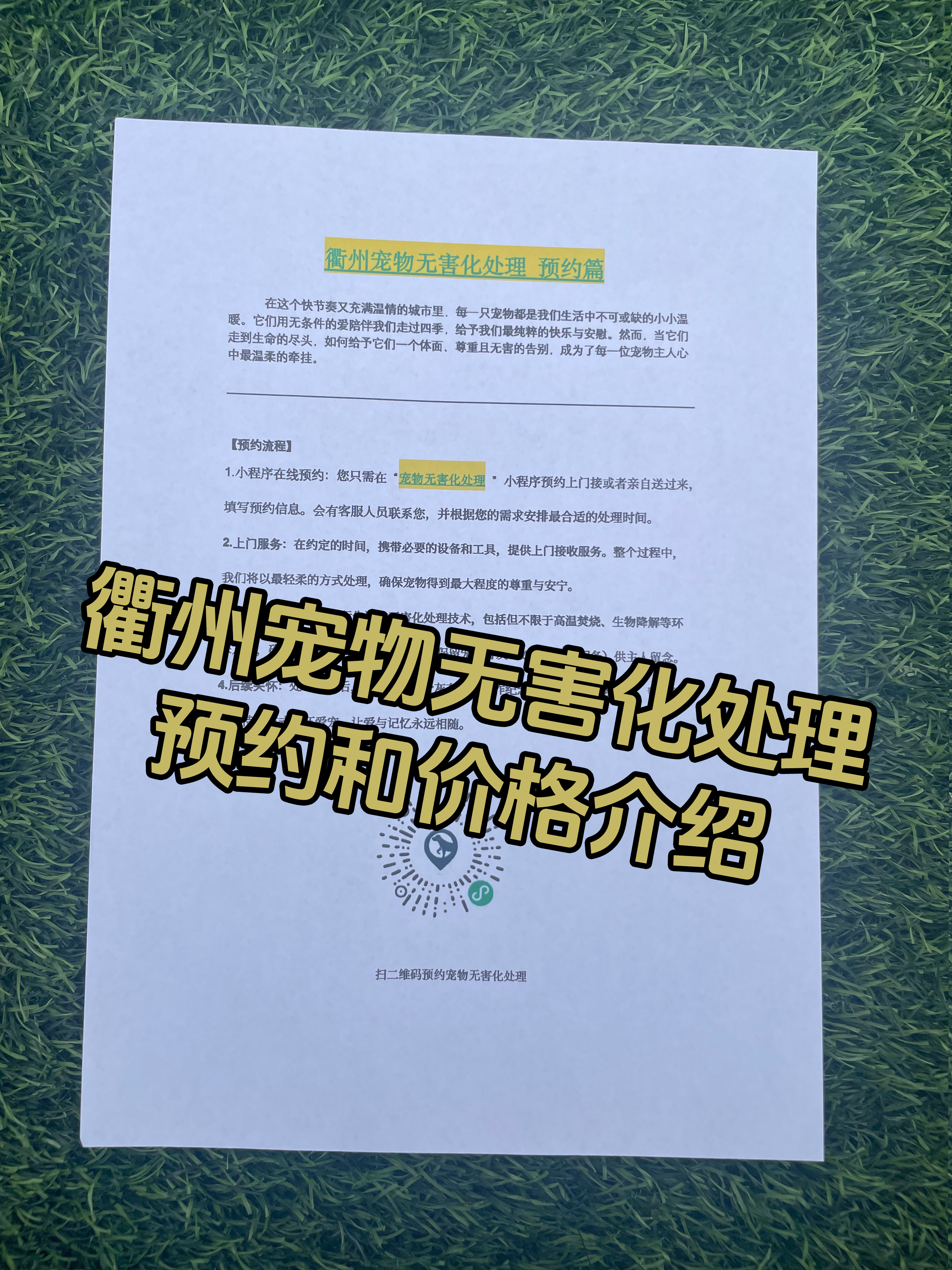 衡阳宠物遗体规范处理