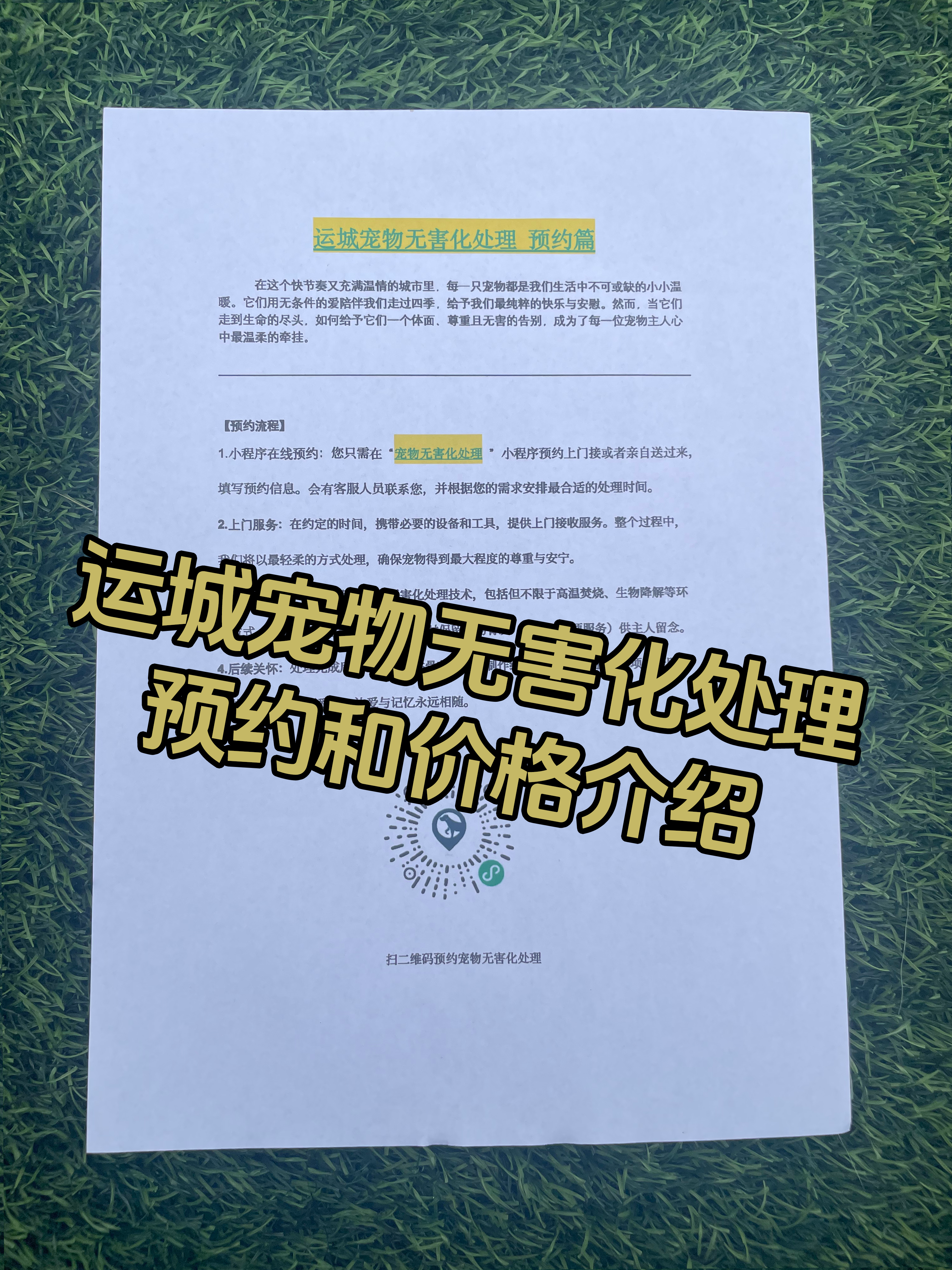 广丰宠物无害化处理流程
