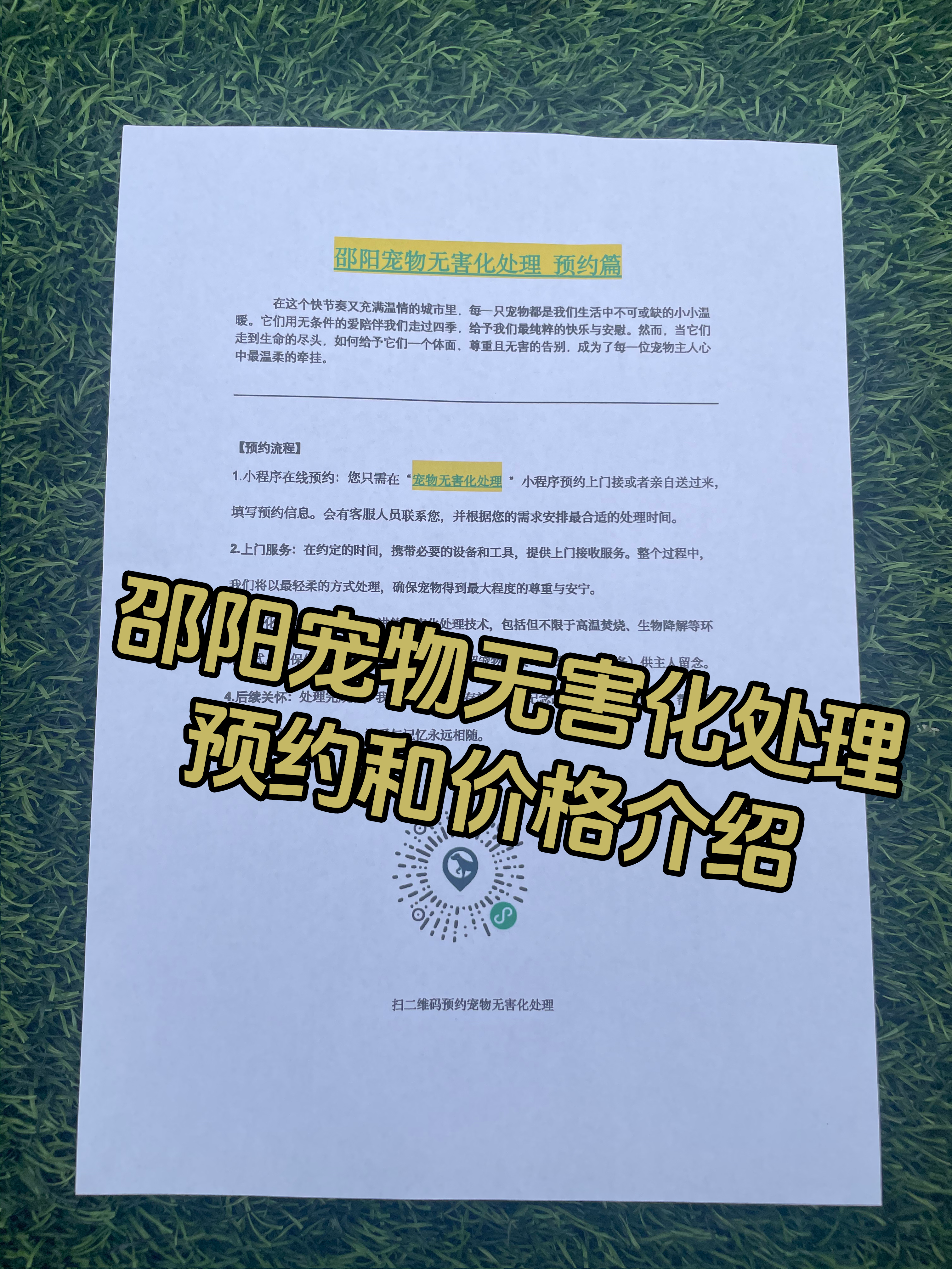 广丰宠物接运服务