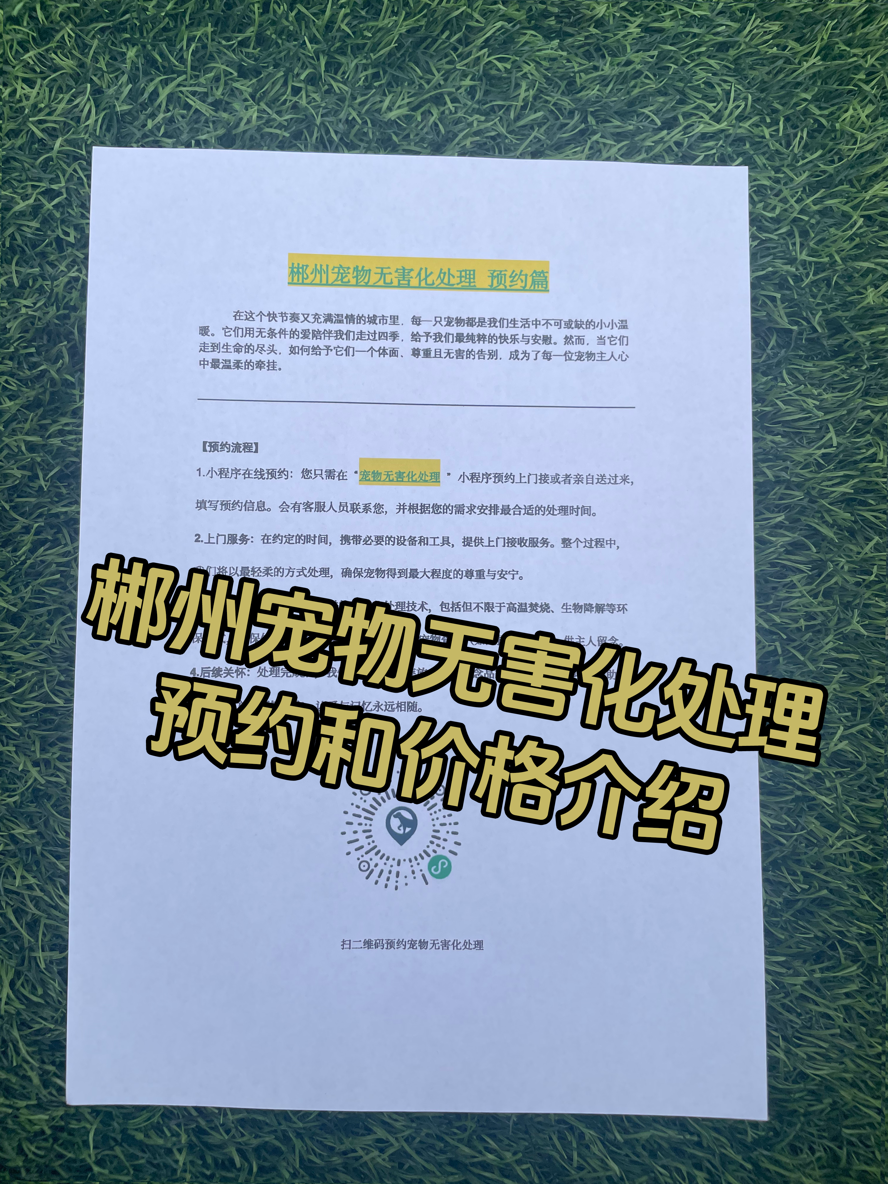 河源宠物无害化处理