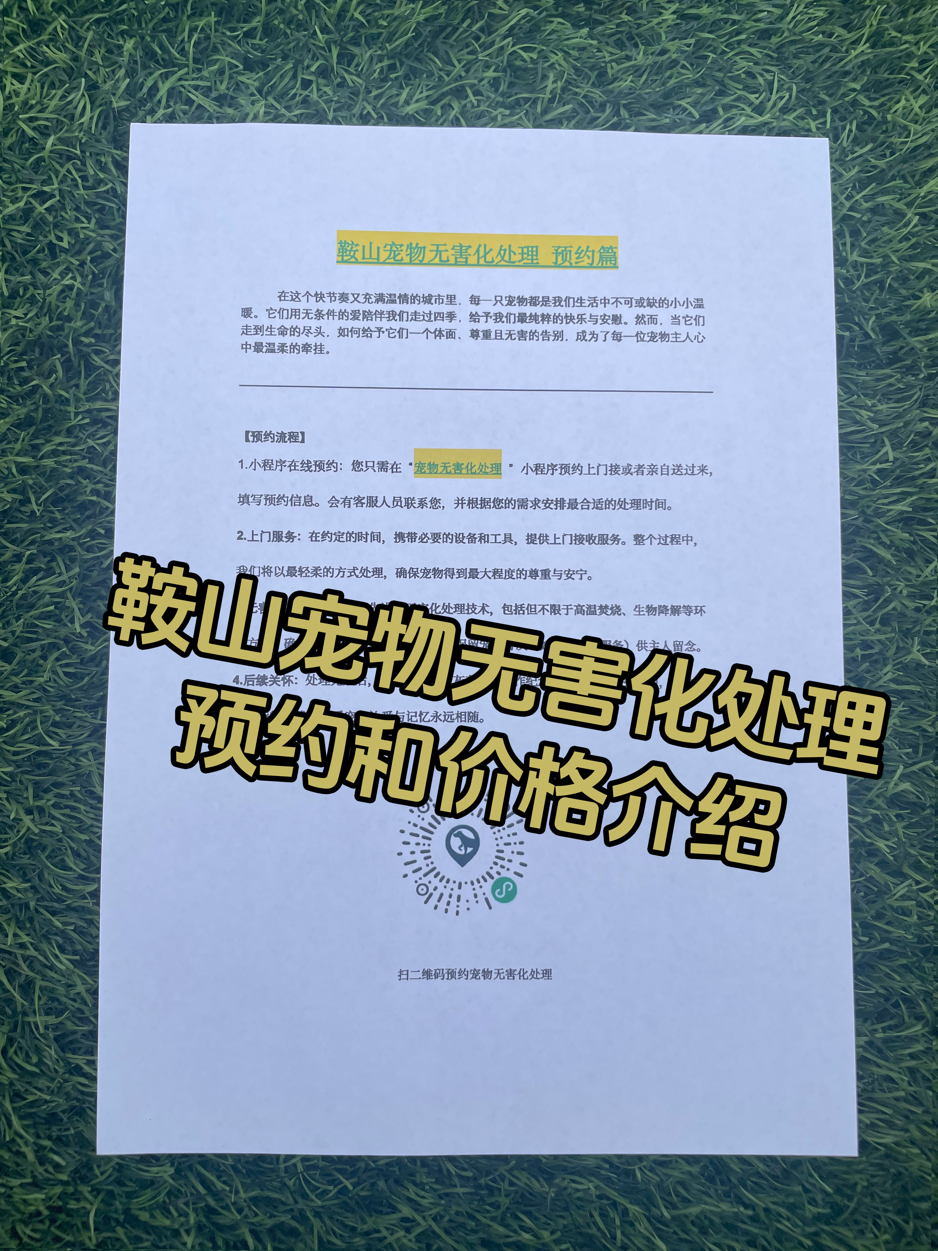 广丰宠物骨灰安置