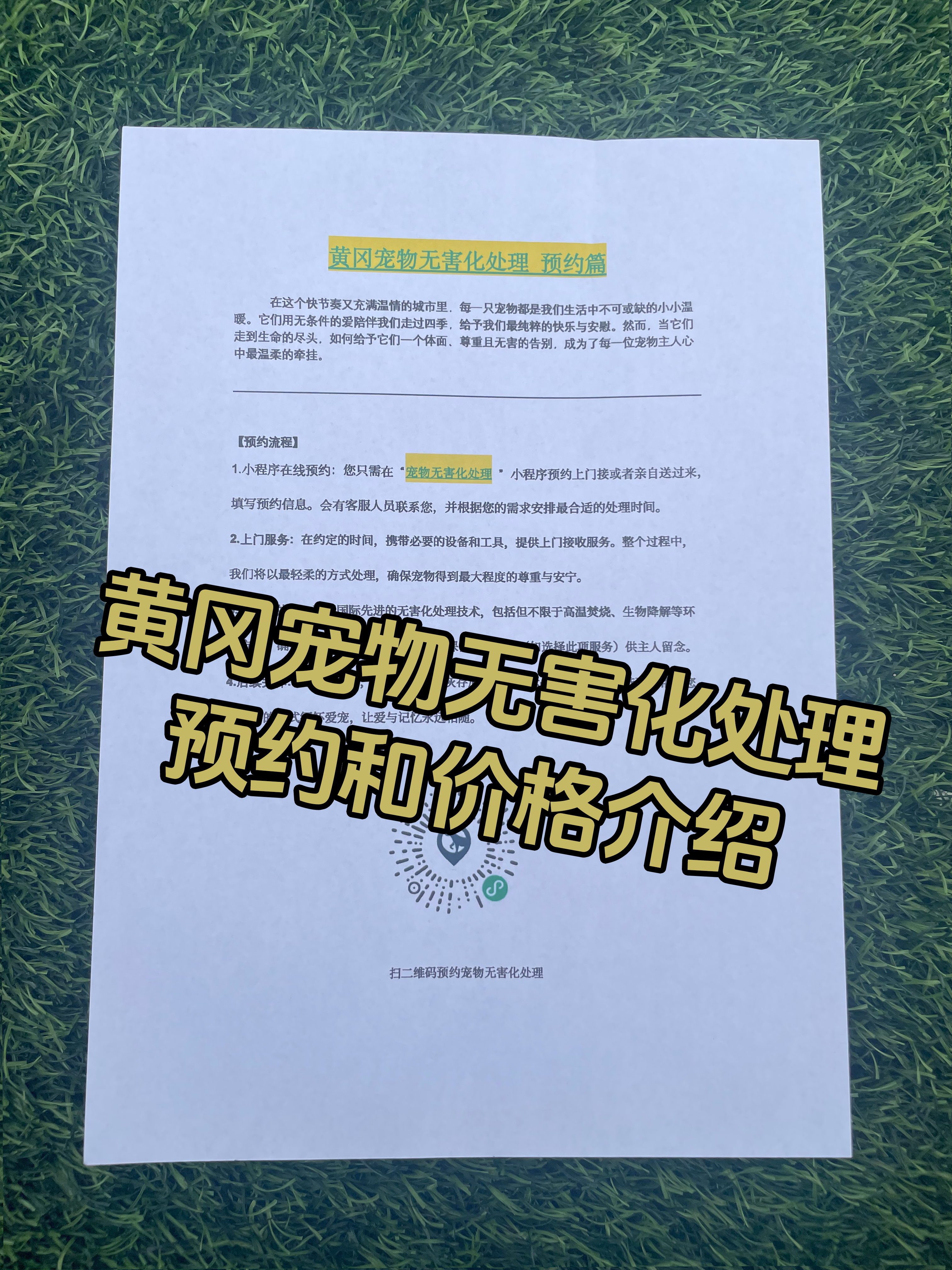 武汉宠物遗体规范处理