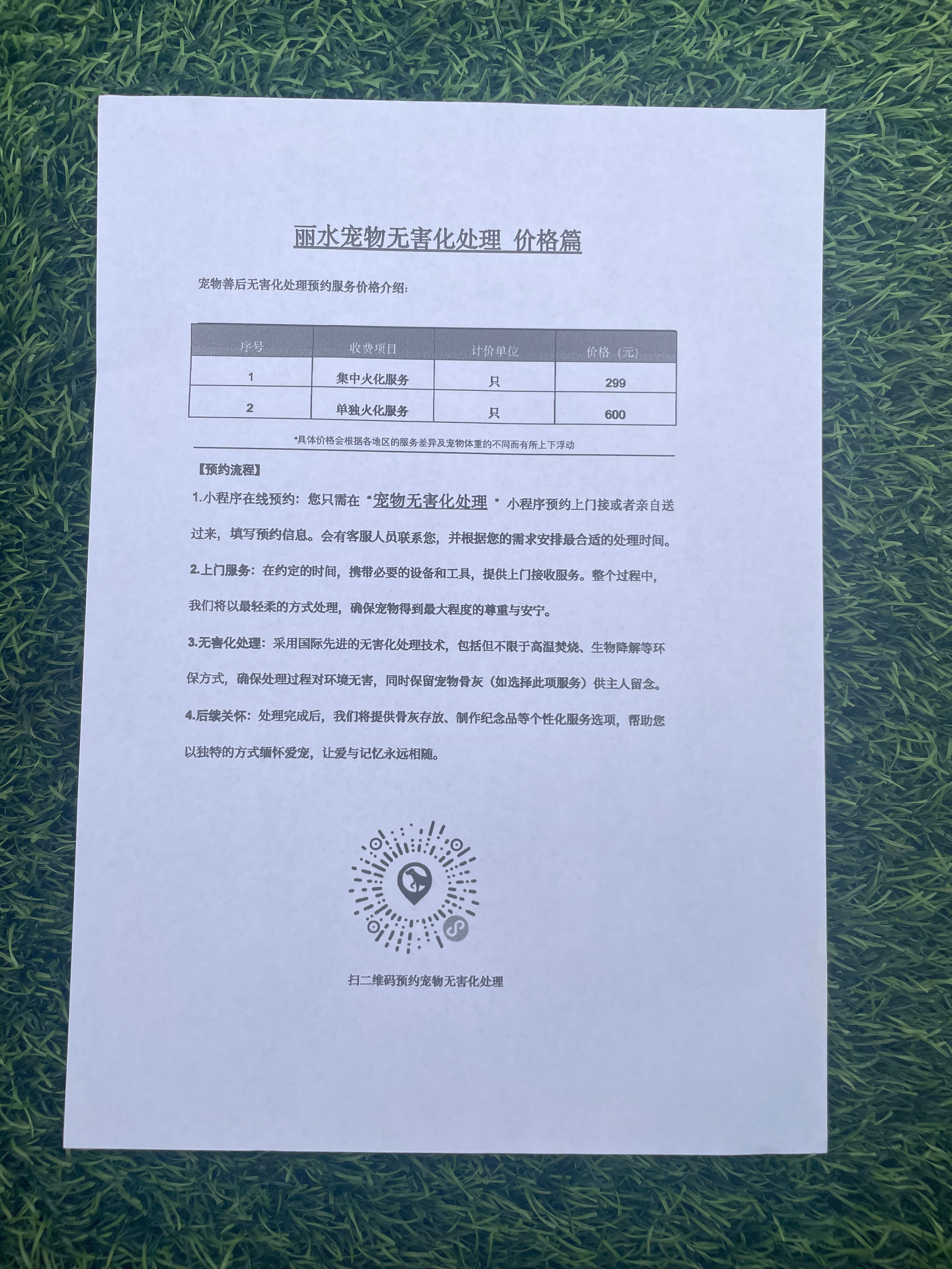 玉山宠物接运服务