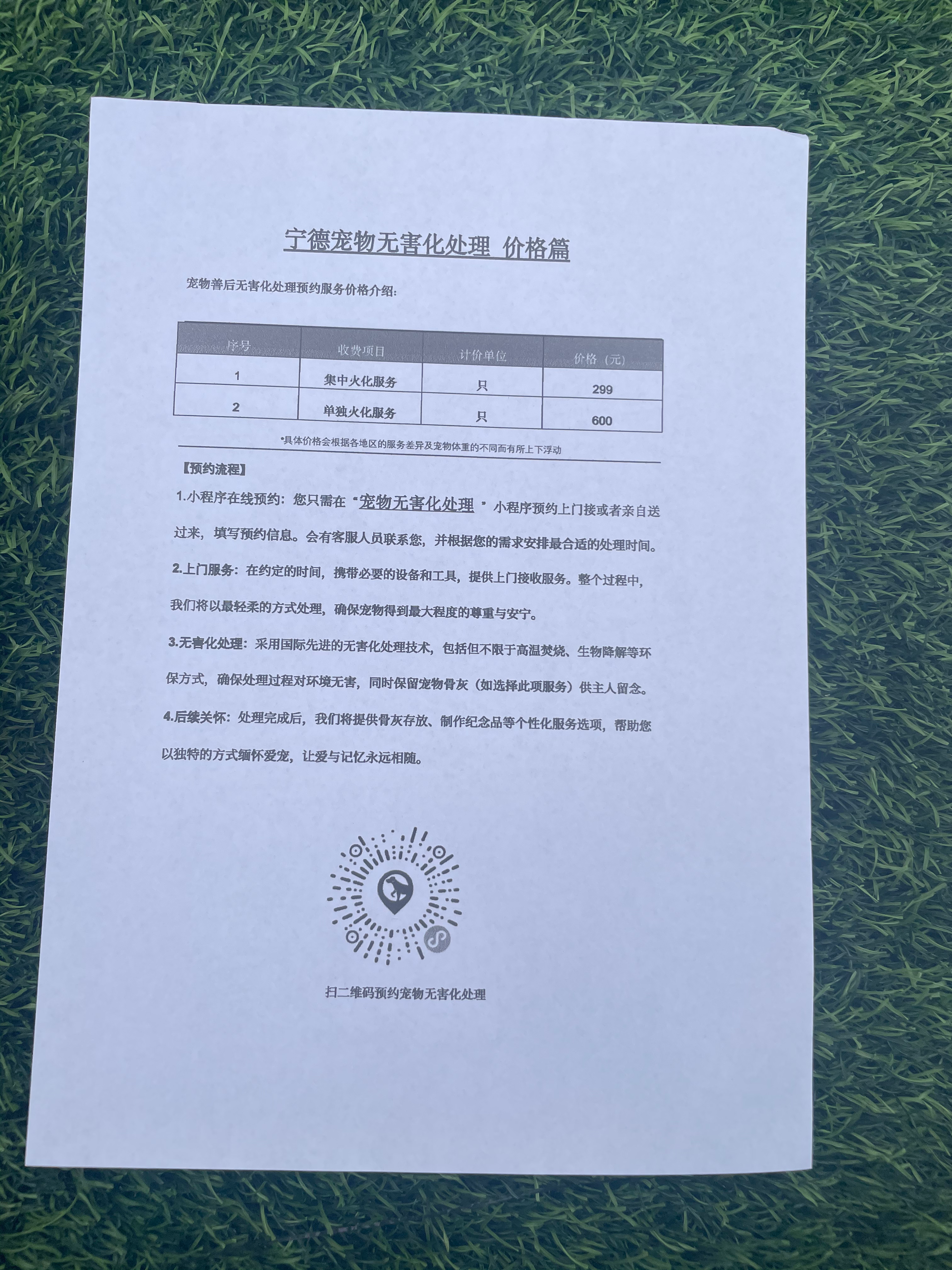 青岛宠物遗体规范处理