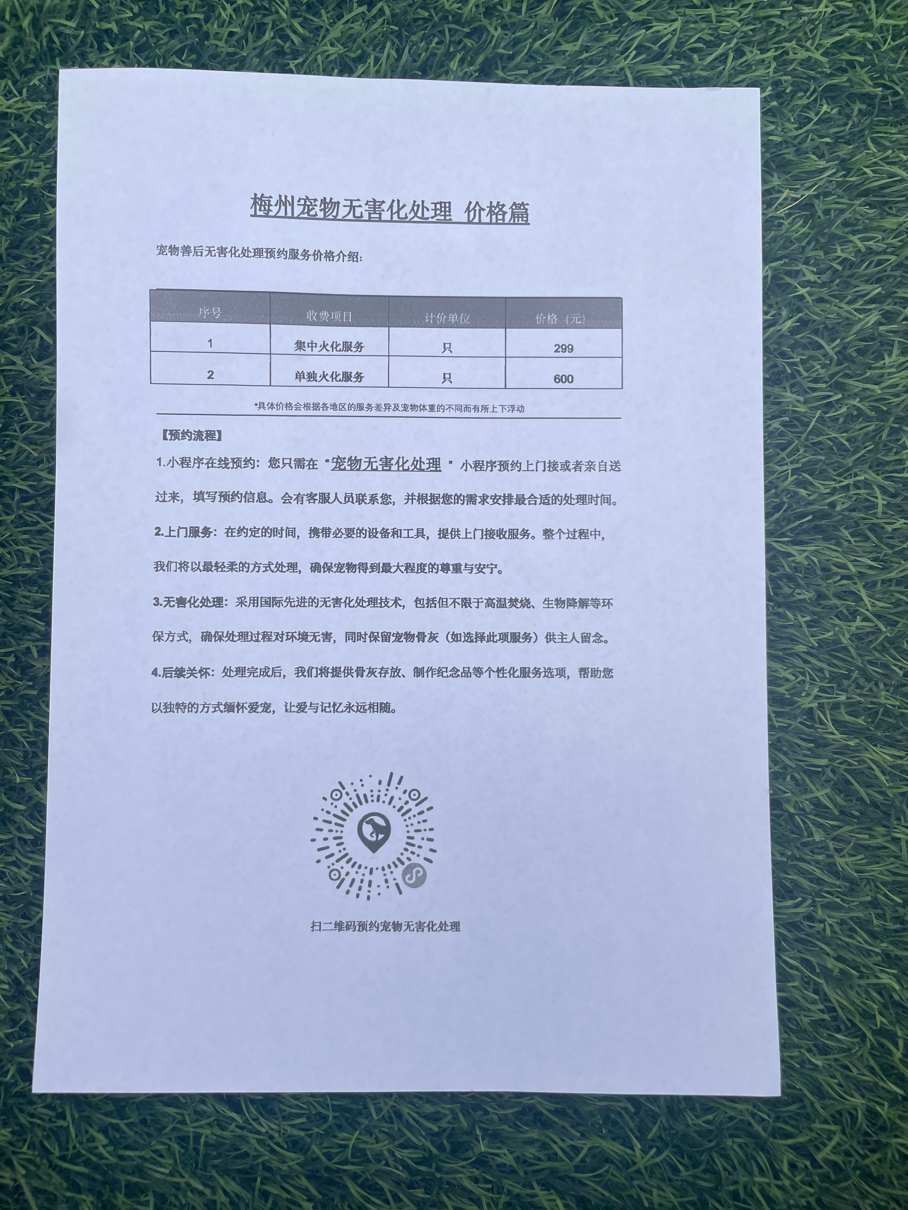 桂林宠物遗体规范处理