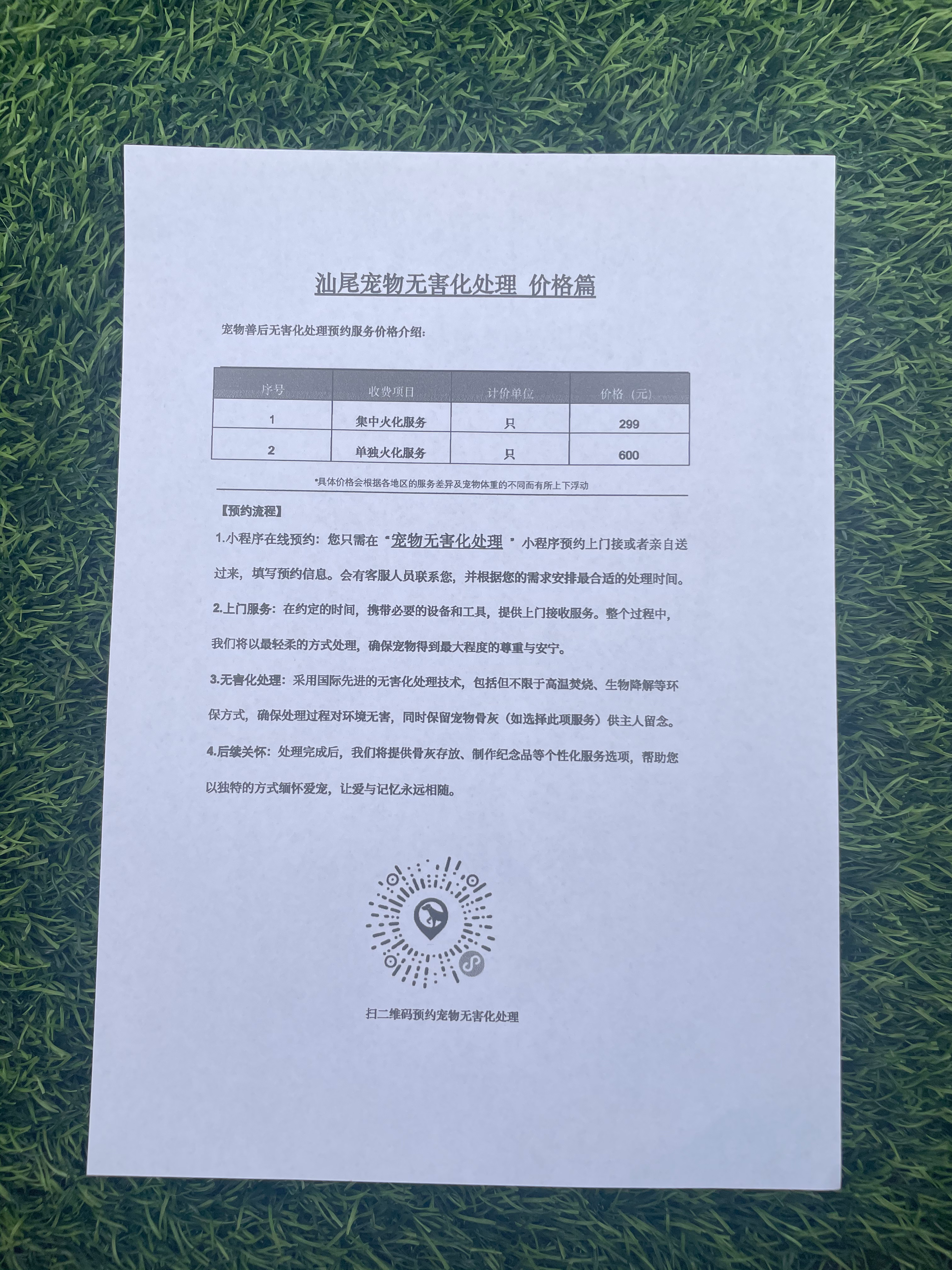 昆明宠物遗体规范处理