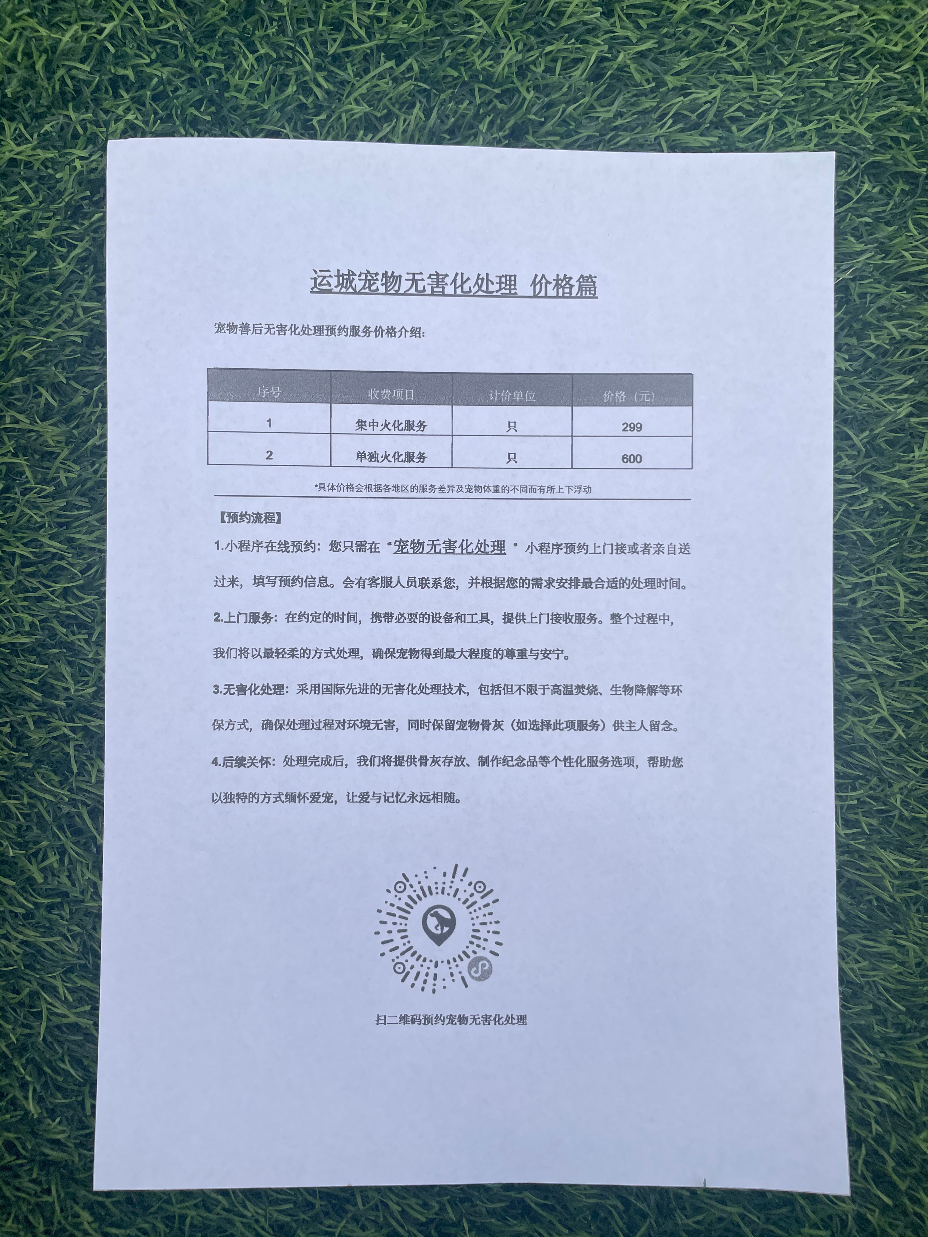 鄱阳宠物接运服务